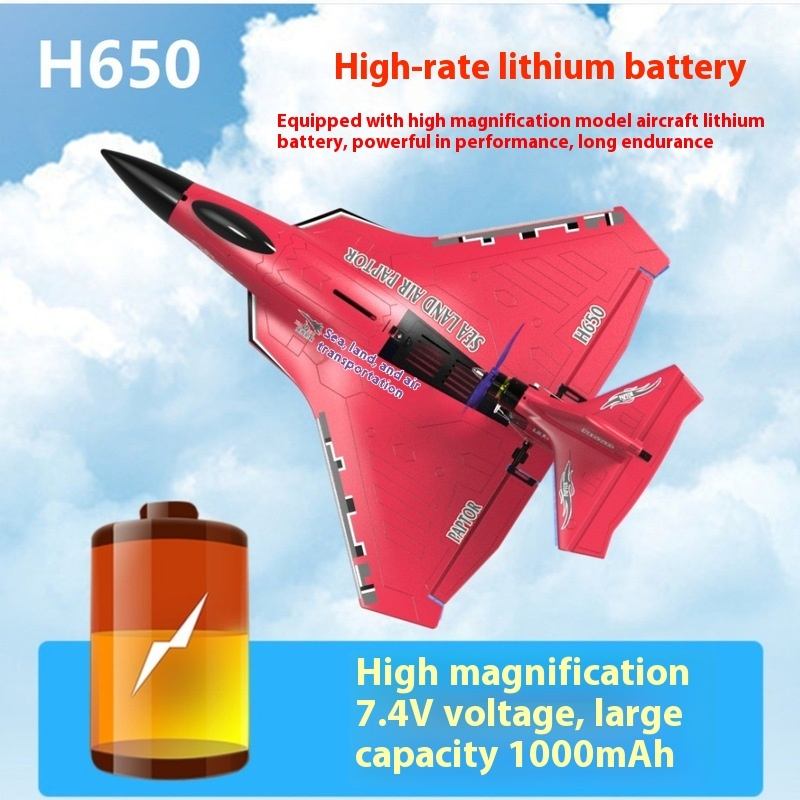 H650 Großes RC-Flugzeug, wasse – Rc Wing Glider Bewertung und Preis