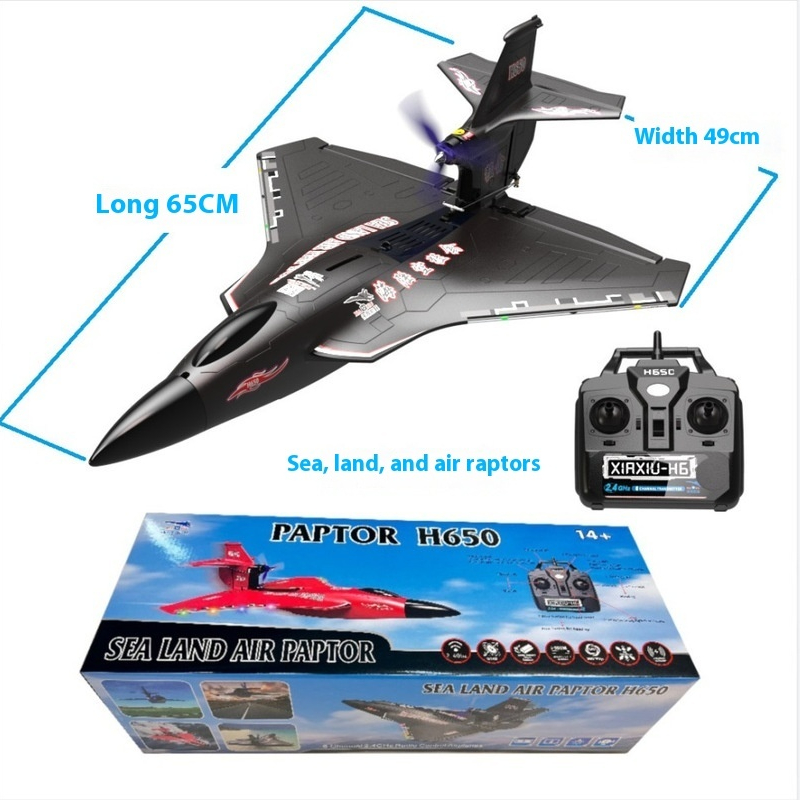 H650 Großes RC-Flugzeug, wasse – Rc Wing Glider Bewertung und Preis